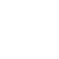 为王之证 skill icon
