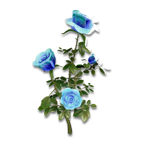 幽蓝玫瑰