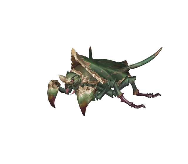 密林甲虫