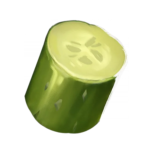 莳萝黄瓜记录图