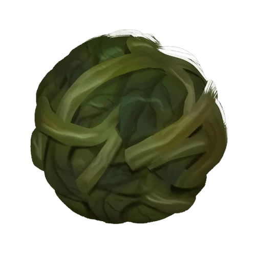 菠菜记录图