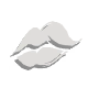 魅力